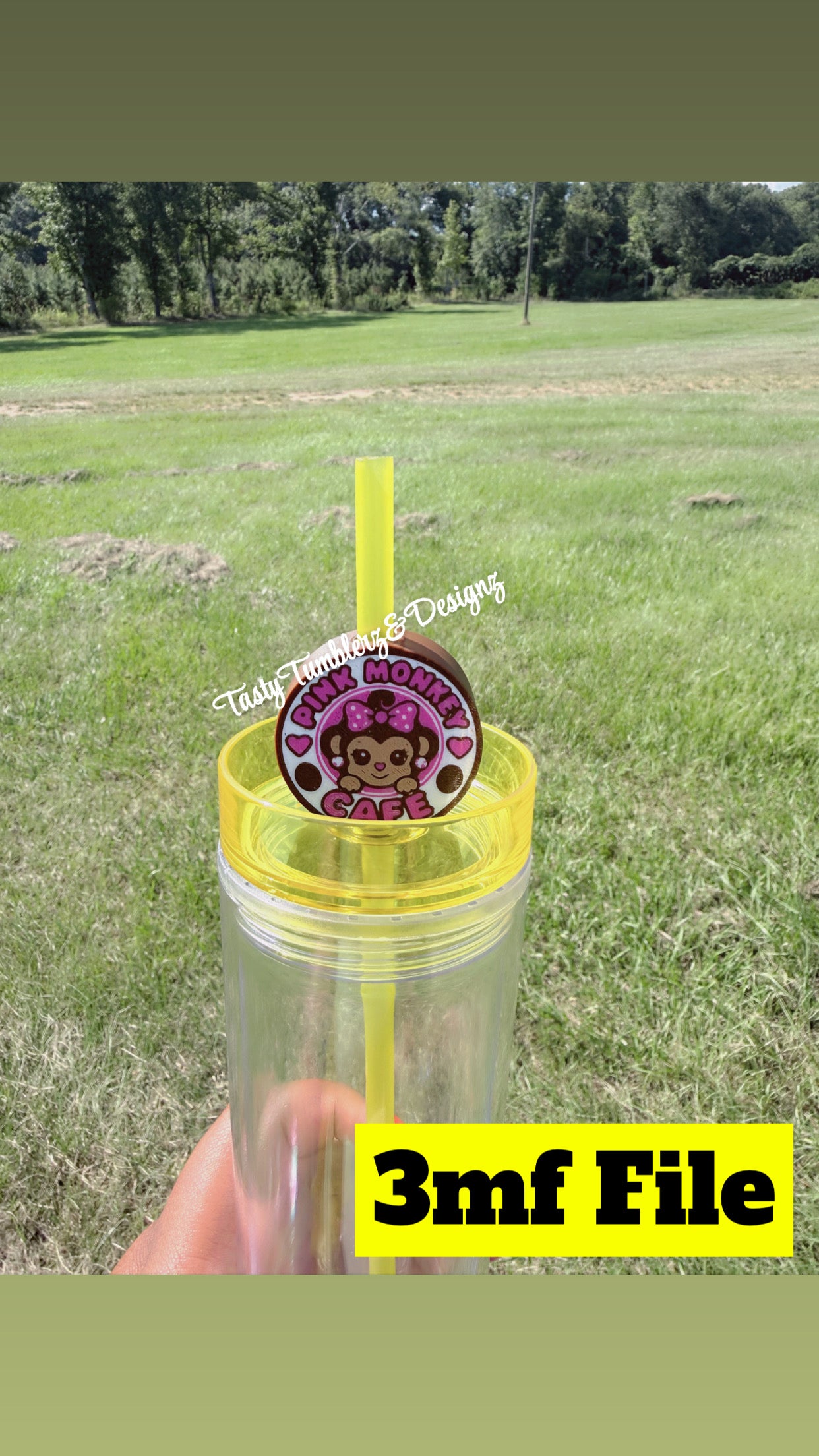 Pink Monkey Staw Topper.3mf